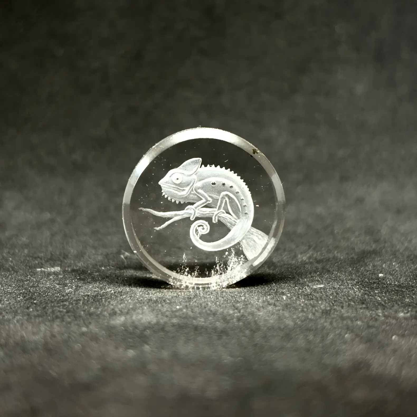 Caméléon finement gravé sur pierre de quartz — glyptique