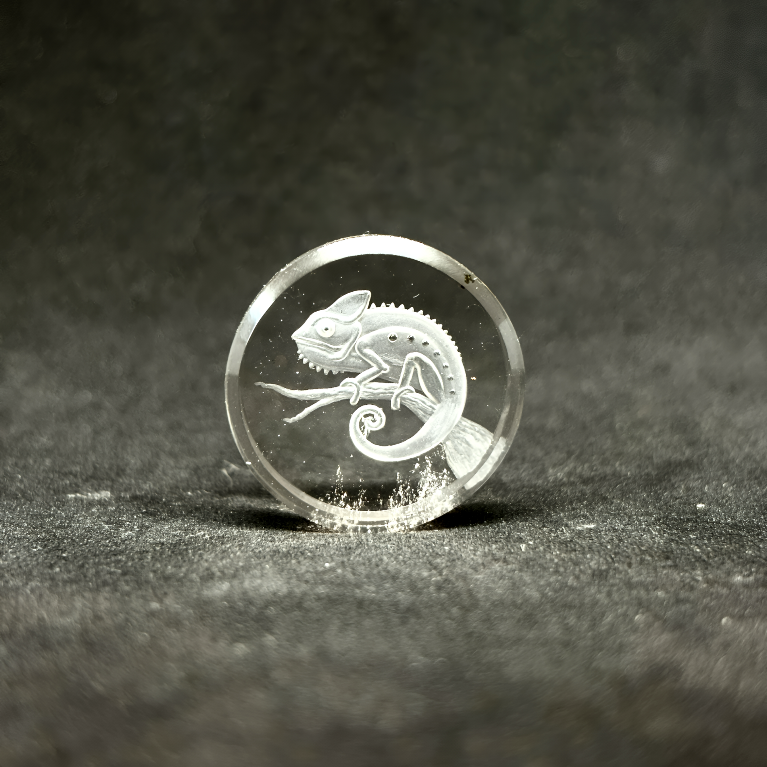 placeholder image-sq